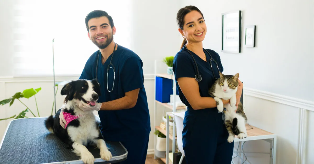 Clínicas veterinarias en Málaga:  expertos en el bienestar animal