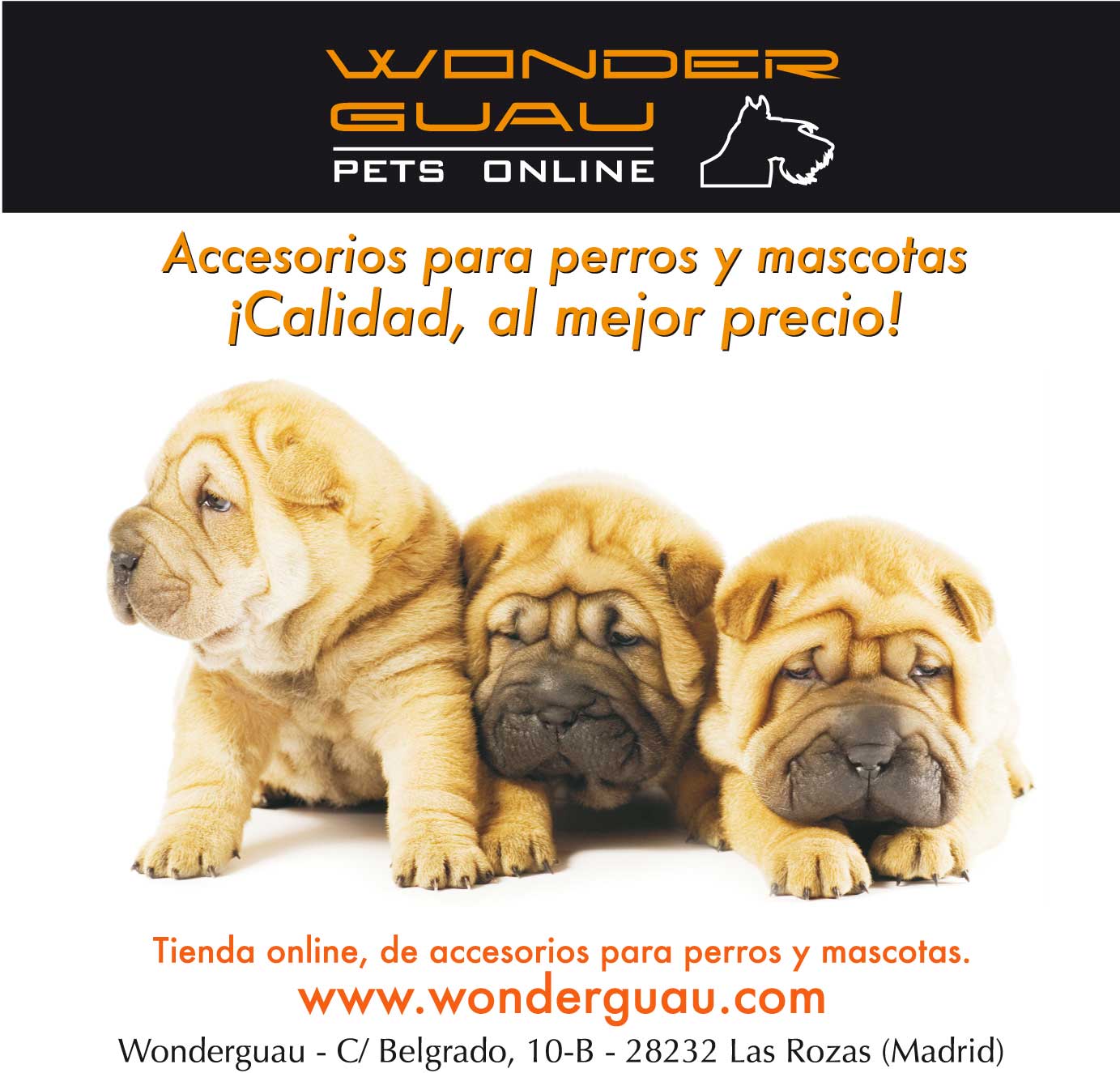 Wonderguau Accesorios para Mascotas