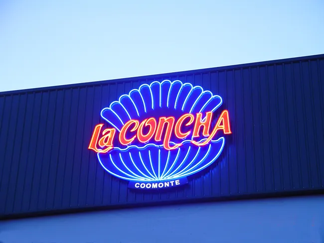 Lejía La Concha