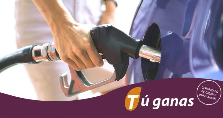 Gasolinera TGAS Petróleos Archiliélago, S.A.