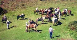 Rutas a Caballo Cobrana