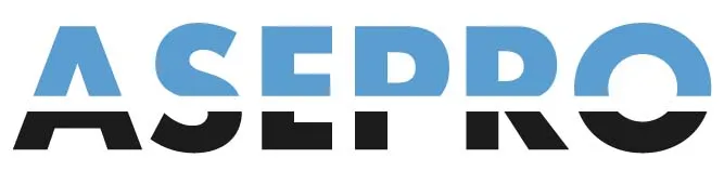 Logo * Asepro Seguridad - Asturiana de Seguridad y Protección, S.L.