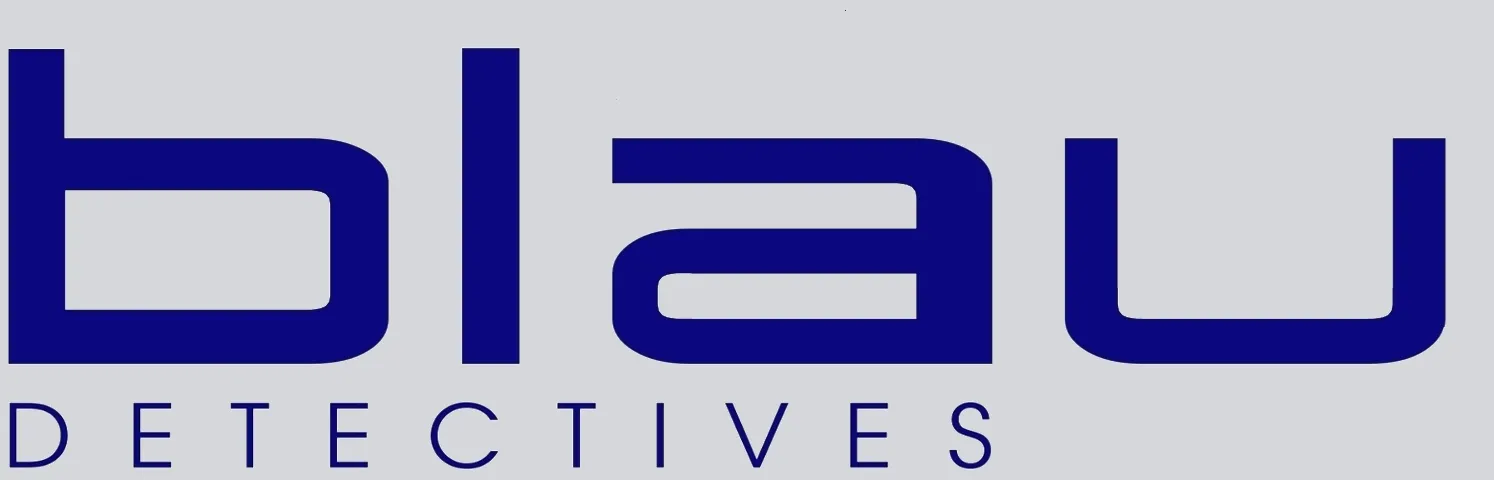 Logo Blau Detectives